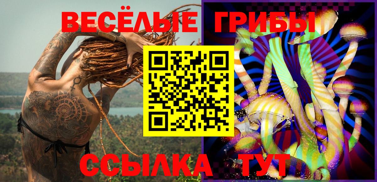 Узловая  Галлюциногенные грибы Psilocybe  Вход с VPN 